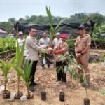Dukung Ketahanan Pangan Desa Teluk Kaba, Agus Aras dan KPHP Bengalon Serahkan Bibit Alpukat hingga Durian Musang King