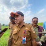 Karhutla Marak di Samarinda: Kualitas Udara Memburuk, BPBD Distributorkan Air Bersih dan Bagikan Masker